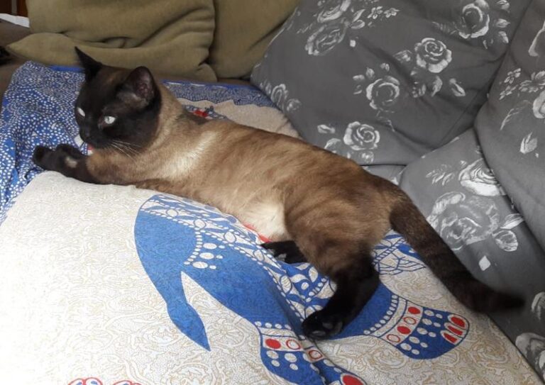 multimedia-foto62388-588-1