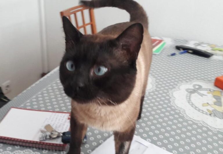 multimedia-foto62391-589-1