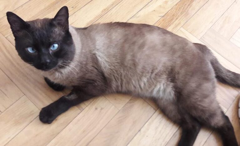 multimedia-foto62392-589-1