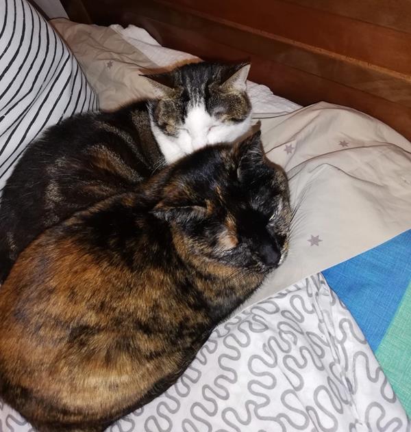 multimedia-foto62414-397-1