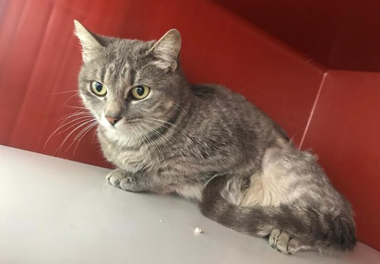 multimedia-foto62430-557-1