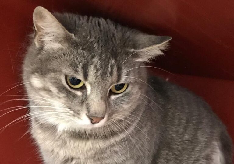 multimedia-foto62431-558-1