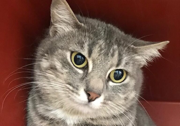 multimedia-foto62434-558-1