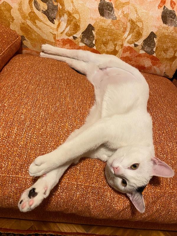 multimedia-foto62439-782-1