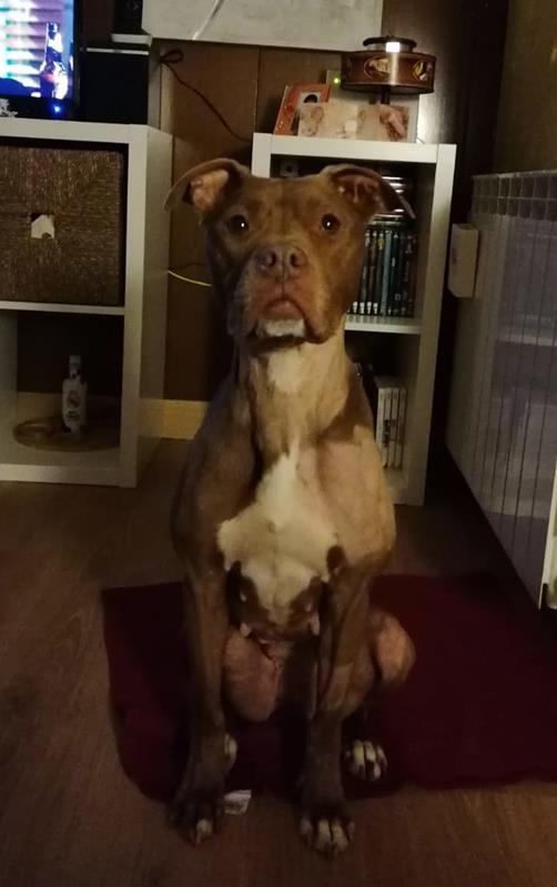 multimedia-foto62451-832-1