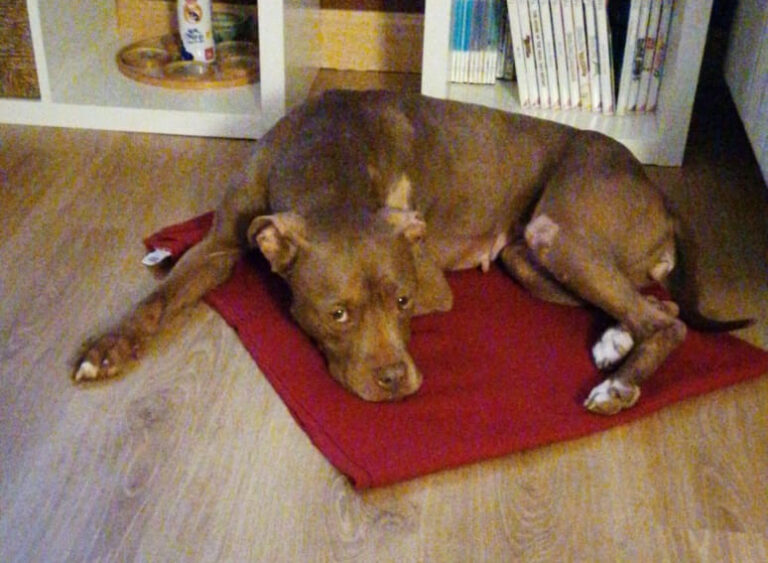 multimedia-foto62453-833-1