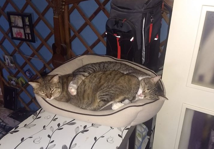 multimedia-foto62459-20-1