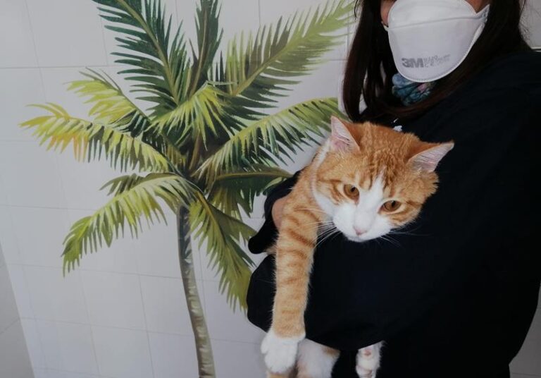 multimedia-foto62468-828-1