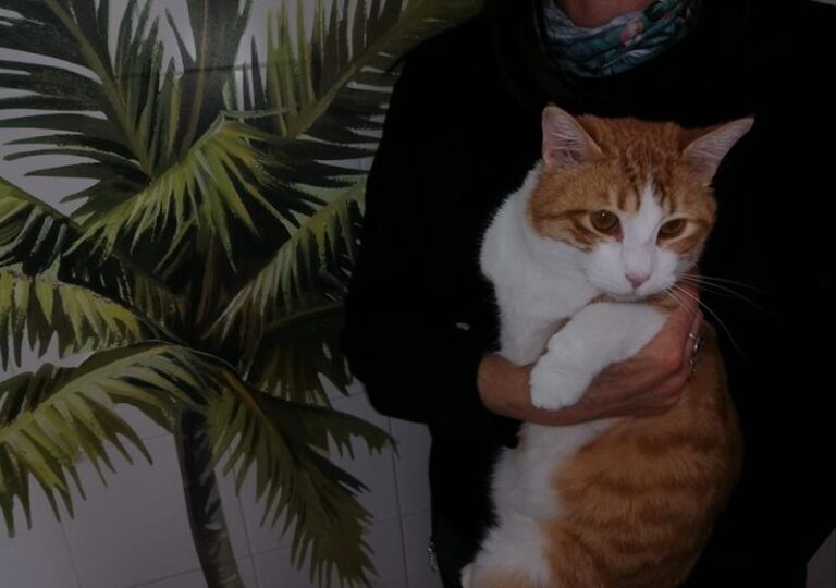 multimedia-foto62469-829-1