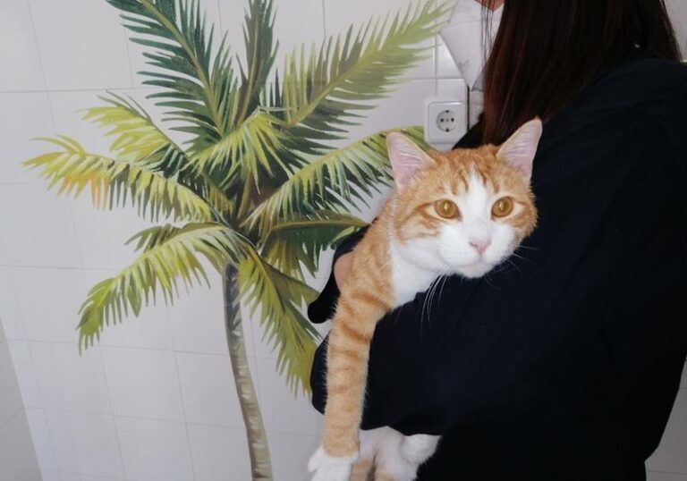 multimedia-foto62470-829-1