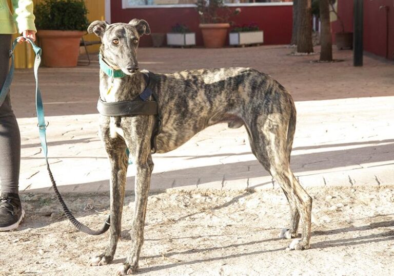 multimedia-foto62472-96-1