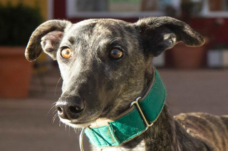 multimedia-foto62474-97-1