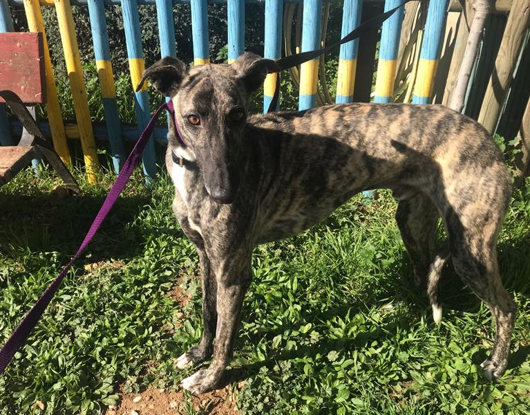 multimedia-foto62478-234-1