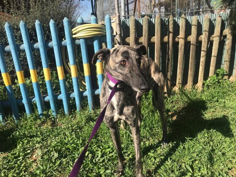 multimedia-foto62480-235-1