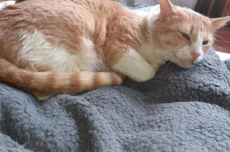 multimedia-foto62507-695-1