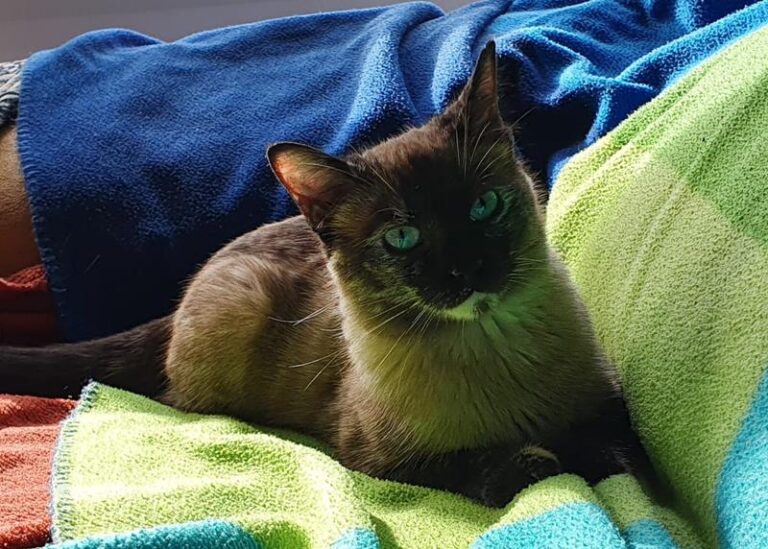 multimedia-foto62566-379-1