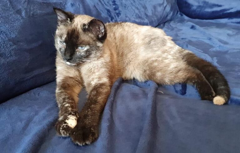 multimedia-foto62567-380-1