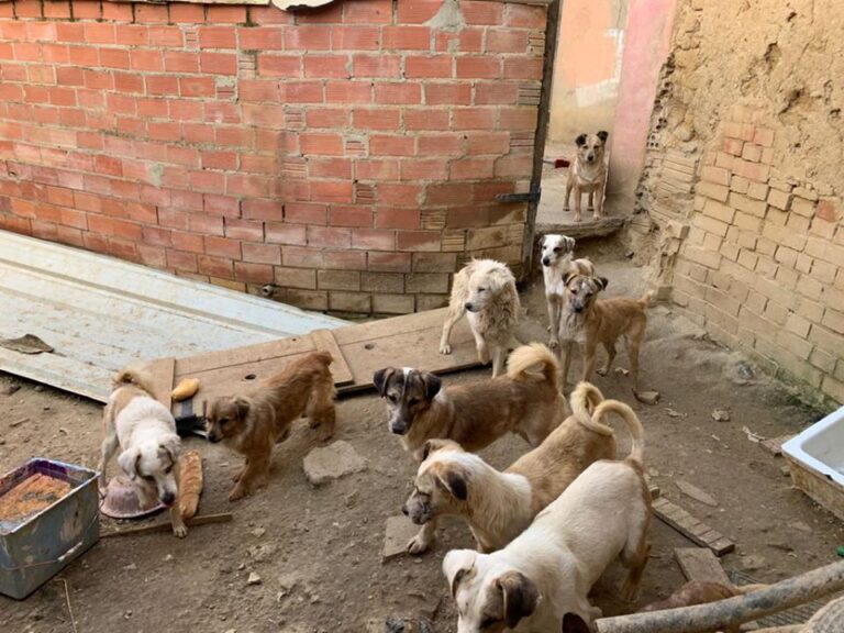 multimedia-foto62584-886-1