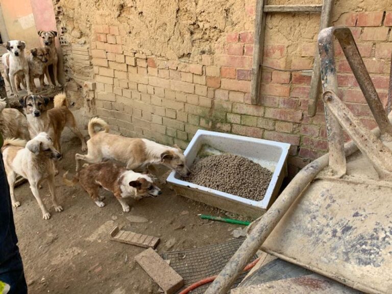 multimedia-foto62585-887-1