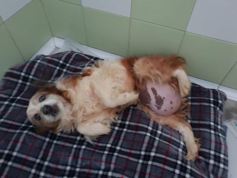 multimedia-foto62586-887-1