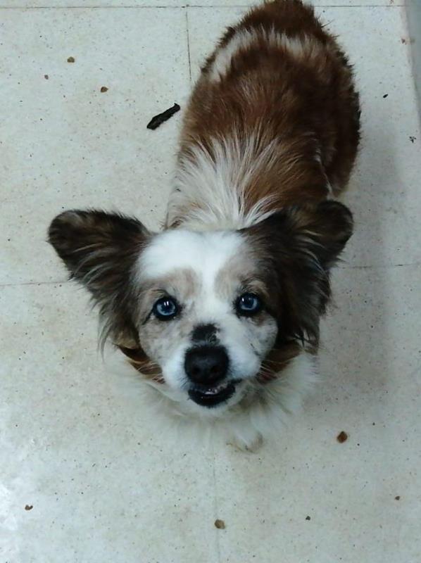 multimedia-foto62587-887-1