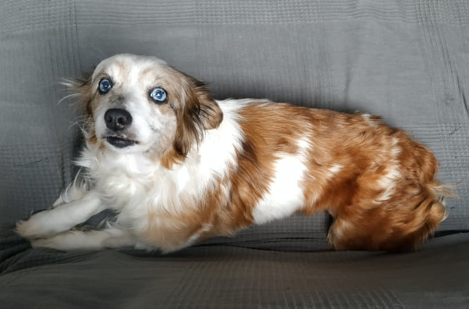 multimedia-foto62588-887-1