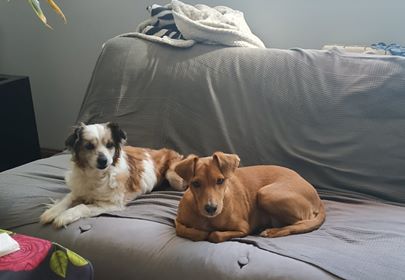 multimedia-foto62589-887-1