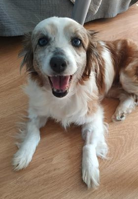 multimedia-foto62590-887-1