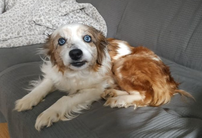 multimedia-foto62591-888-1