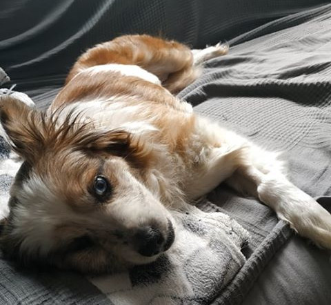 multimedia-foto62592-888-1