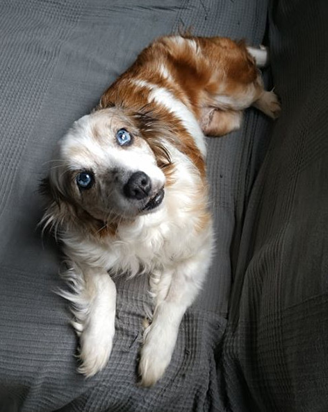 multimedia-foto62593-888-1