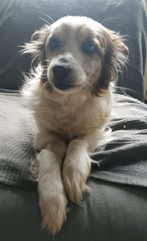 multimedia-foto62594-888-1