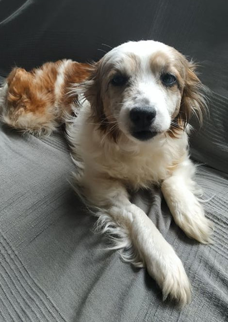 multimedia-foto62595-888-1