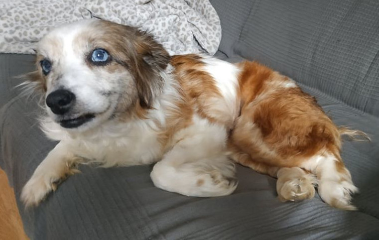 multimedia-foto62596-933-1