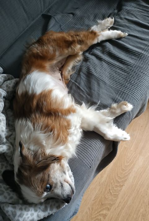 multimedia-foto62597-933-1