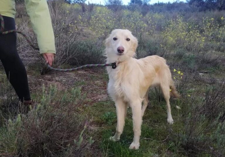 multimedia-foto62613-51-1