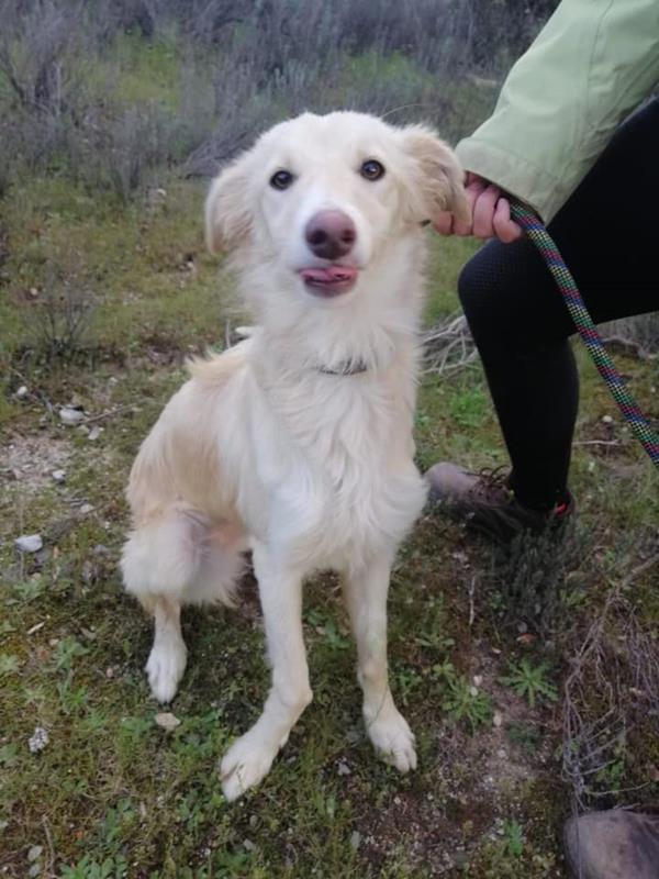 multimedia-foto62614-51-1