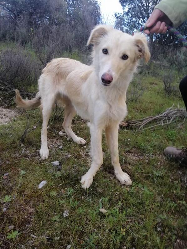 multimedia-foto62615-51-1