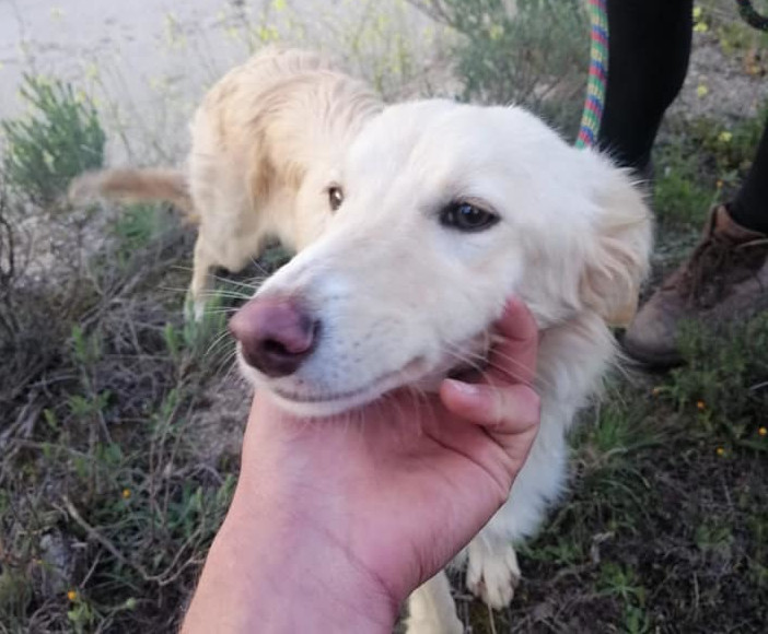 multimedia-foto62616-52-1