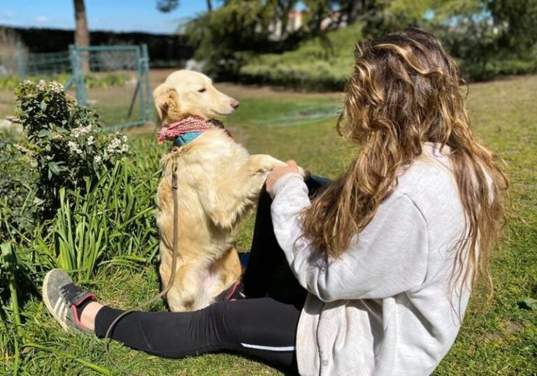 multimedia-foto62618-52-1