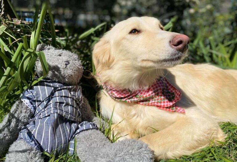 multimedia-foto62619-52-1