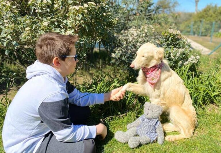 multimedia-foto62620-52-1