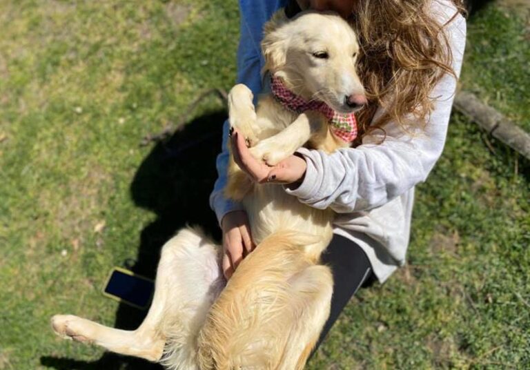 multimedia-foto62621-53-1