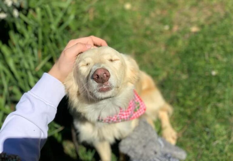 multimedia-foto62622-53-1