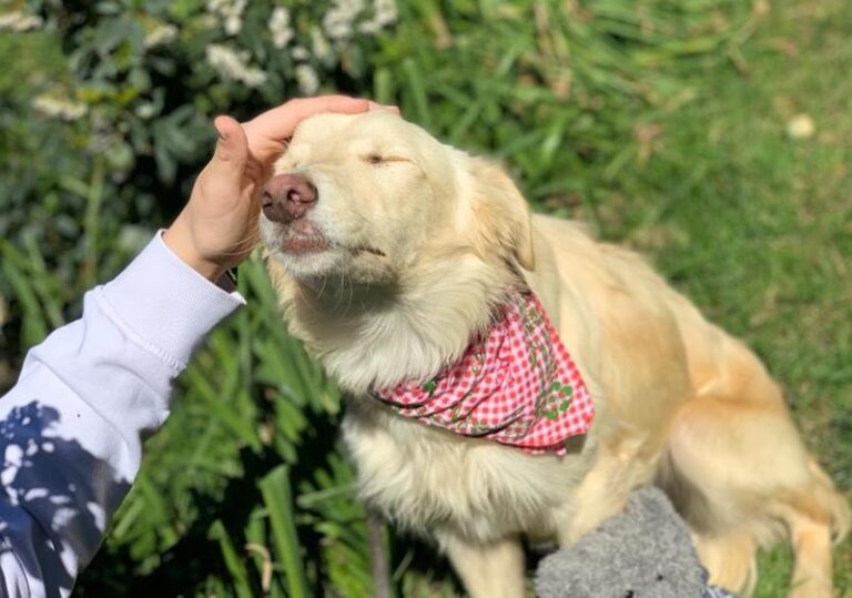 multimedia-foto62625-53-1