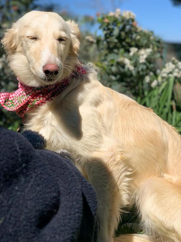 multimedia-foto62626-53-1