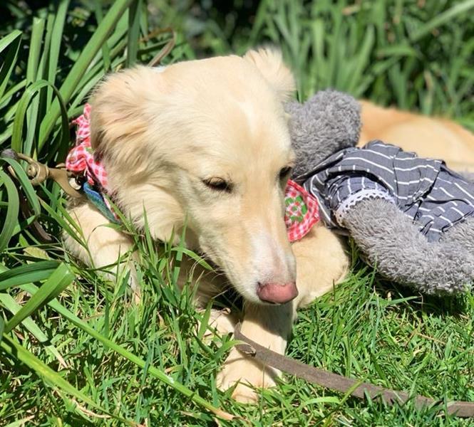 multimedia-foto62627-93-1