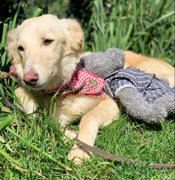 multimedia-foto62628-93-1