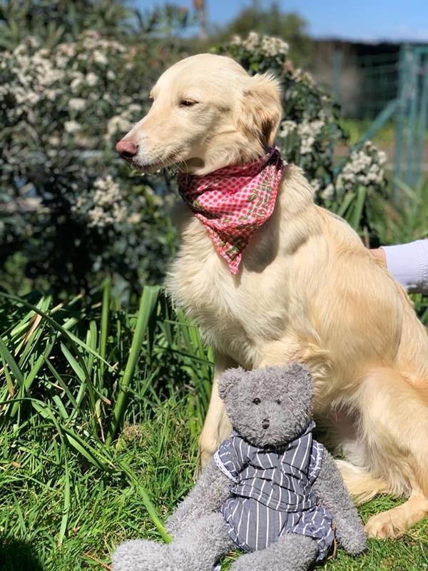 multimedia-foto62629-93-1