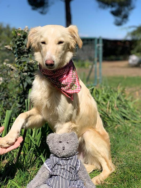 multimedia-foto62630-93-1